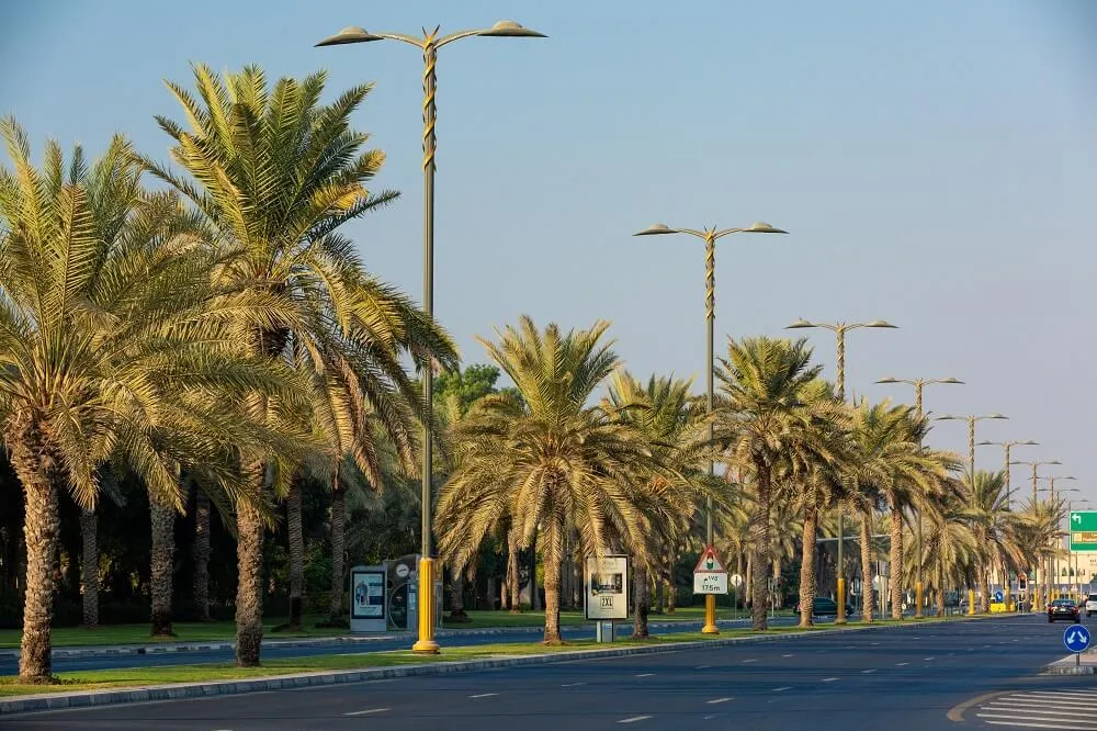 STREET LIGHT POLES
